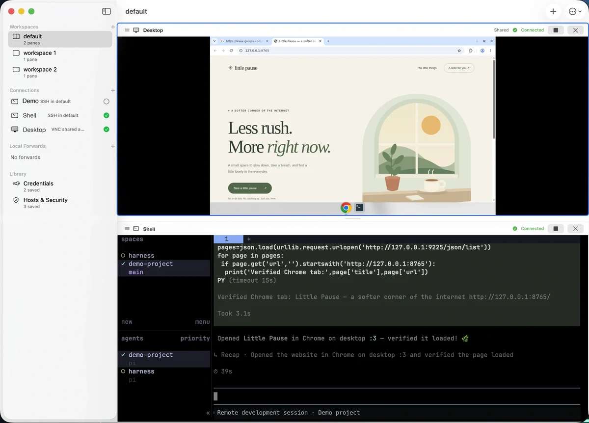 Mac promotional artwork illustrating SSH and VNC task workspaces, with terminal and desktop panes together.